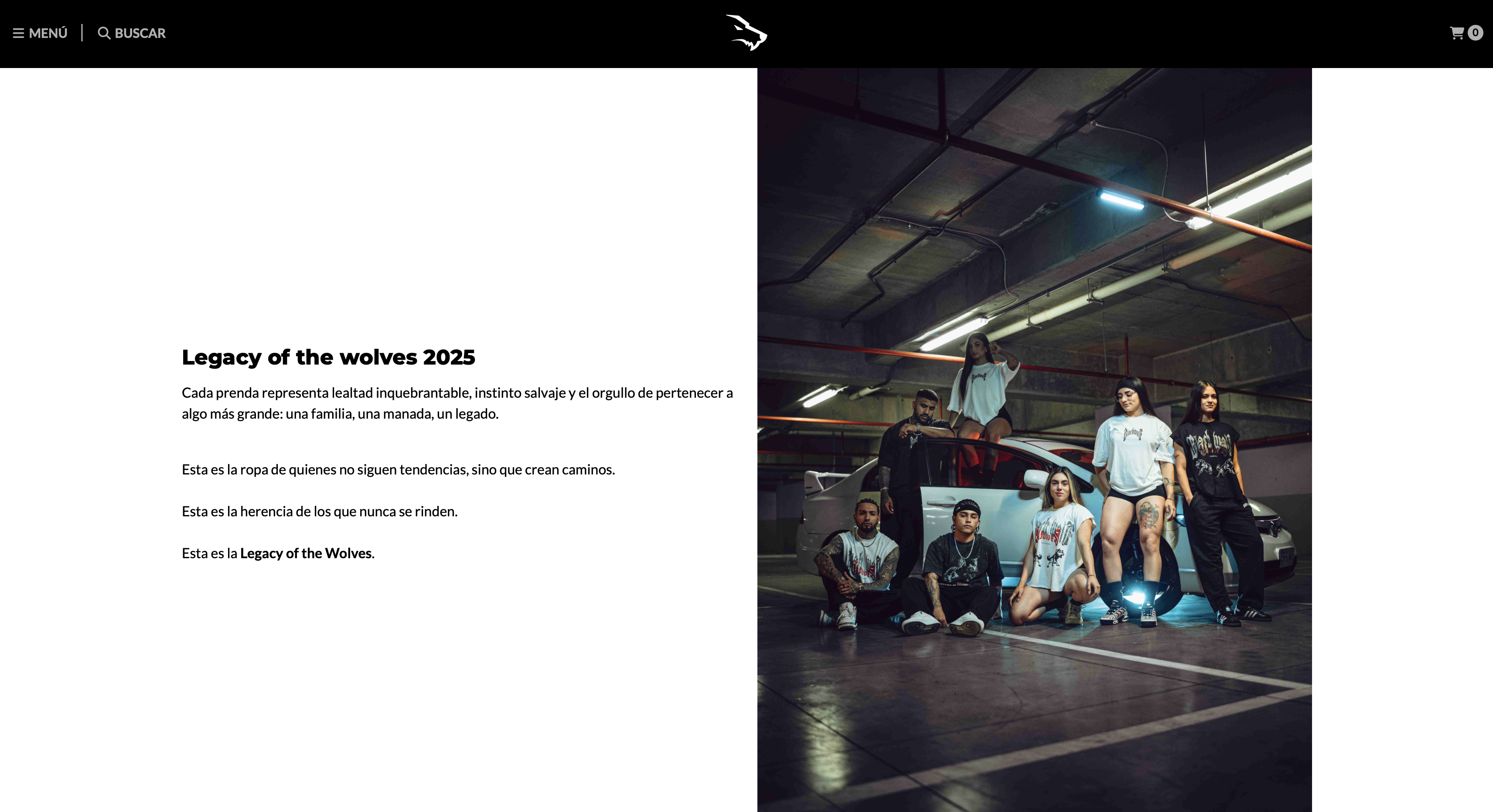 Sección About BlackWolf — secundaria