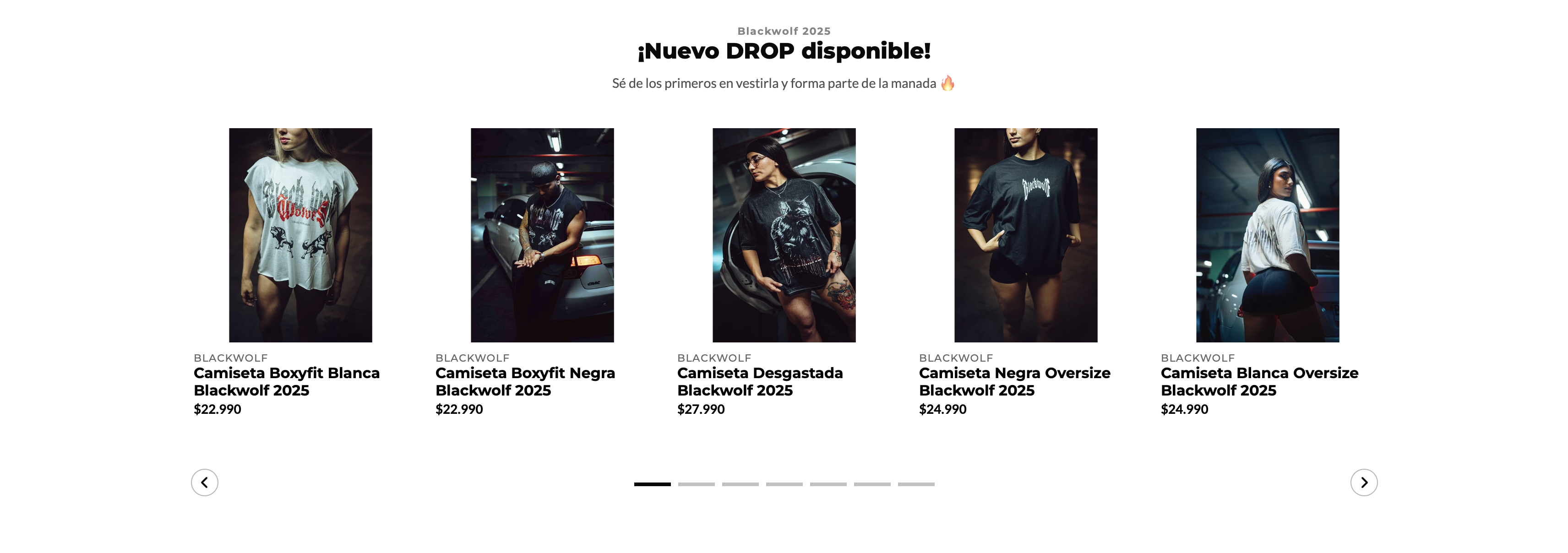 Catálogo de productos BlackWolf